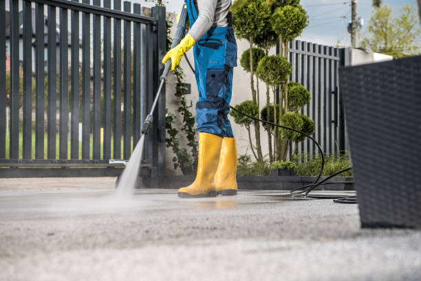 Best Sidewalk and Walkway Cleaning  in Holley, FL